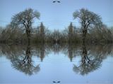 DSCN2212-kaleidoscope_gr2_1