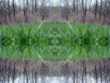 DSCN7080-kaleidoscope_gr2_1