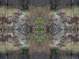 DSCN7084-kaleidoscope_gr2_1