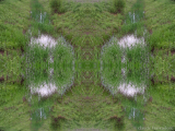 DSCN7162-kaleidoscope_gr2_1