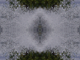 DSCN7193-kaleidoscope_gr2_1