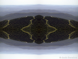 DSCN7328-kaleidoscope_gr2_1