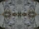 DSCN7385-kaleidoscope_gr2_1