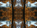 DSCN7388-kaleidoscope_gr2_1