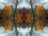 DSCN7389-kaleidoscope_gr2_1