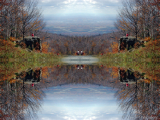 DSCN7392-kaleidoscope_gr2_1