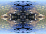 DSCN8324-kaleidoscope_gr2_1