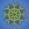 CHADONS_ARBRES_3D